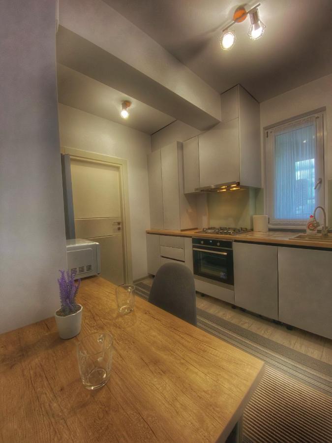 Homey Apartament 2 Rooms Palas Mall Iasi Ngoại thất bức ảnh