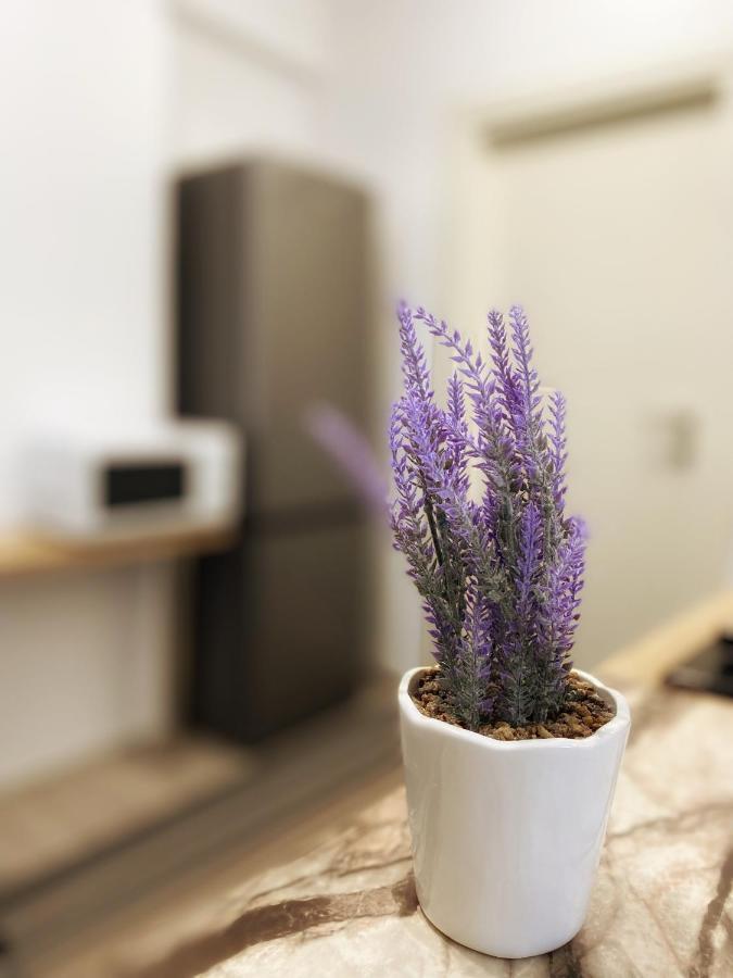 Homey Apartament 2 Rooms Palas Mall Iasi Ngoại thất bức ảnh