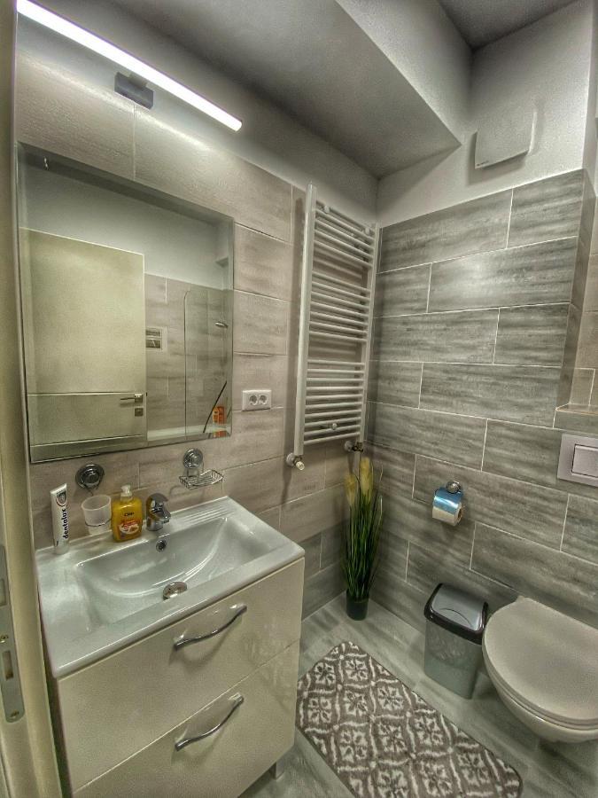Homey Apartament 2 Rooms Palas Mall Iasi Ngoại thất bức ảnh